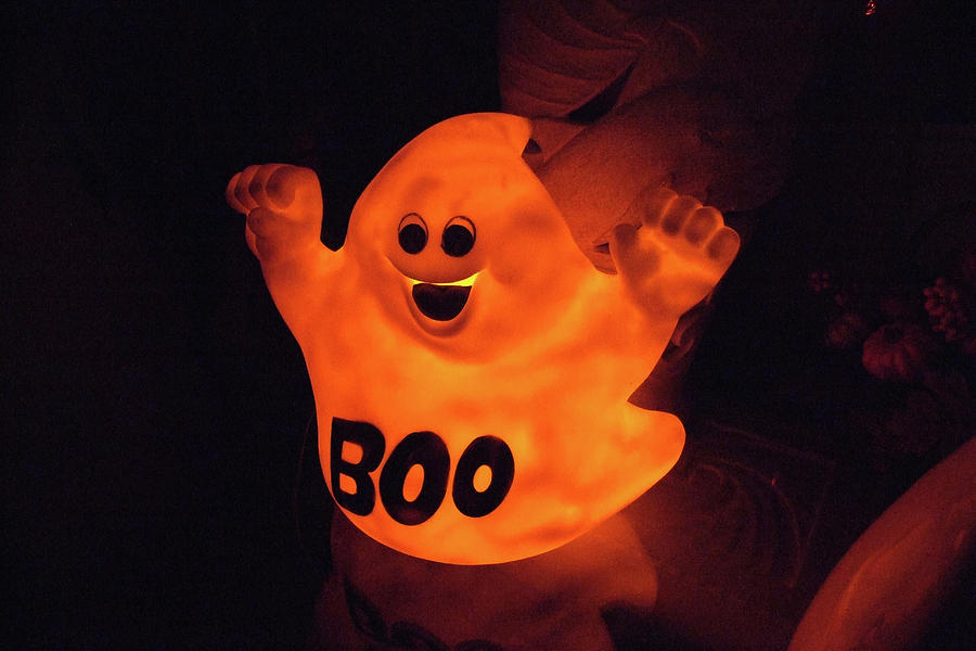Boo Too Photograph by Chuck Shafer