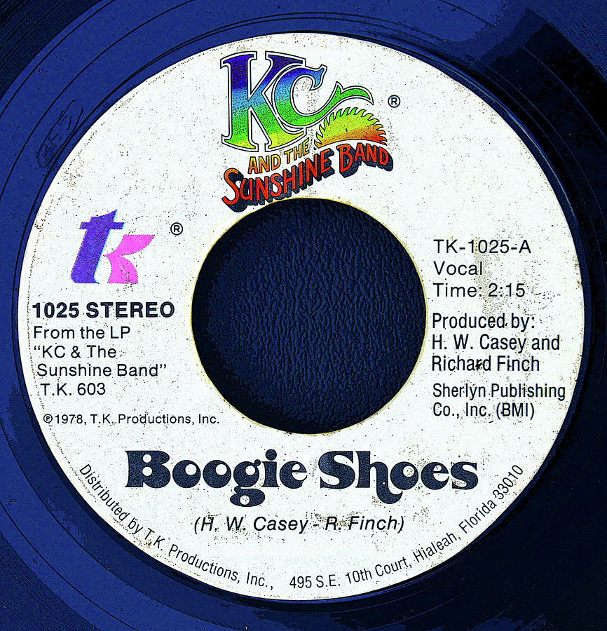 Boogie Shoes | Nico Nico's Bizarre Adventure Wiki | Fandom
