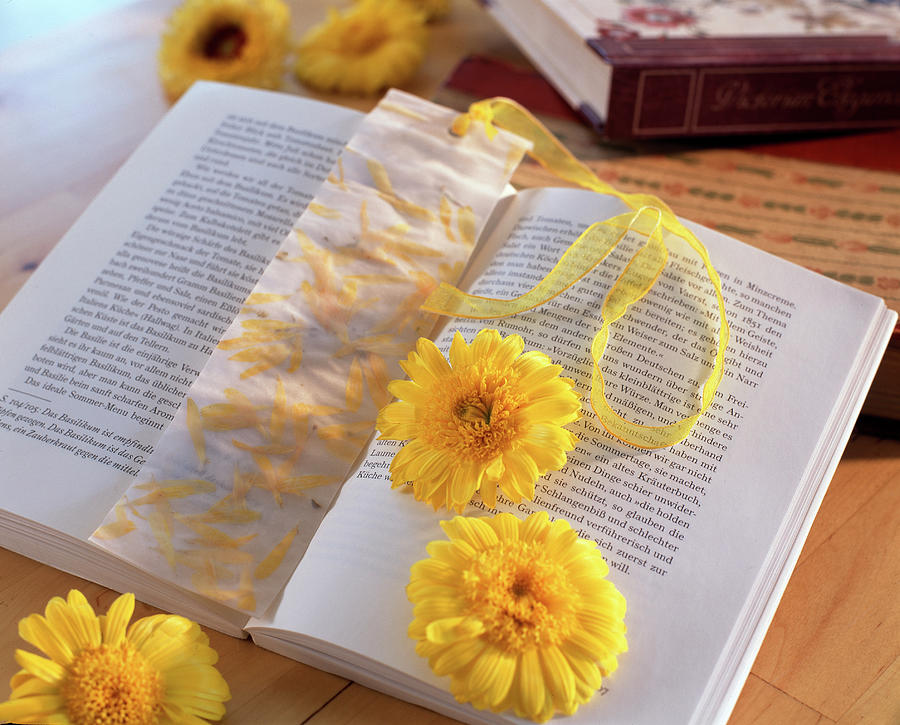 Bookmark With Pressed Petals Photograph by Friedrich Strauss