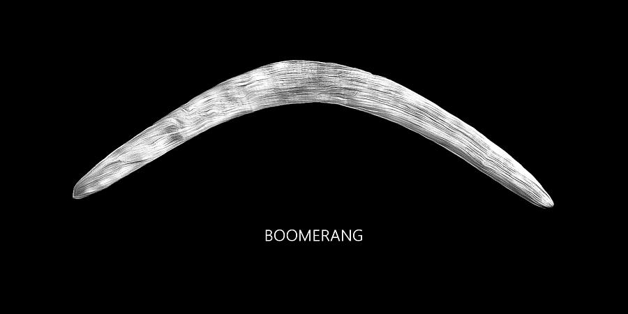 Boomerang Digital Art by Robert Bissett