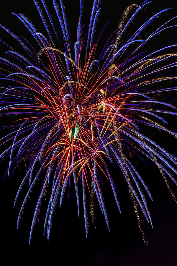 Booming Fireworks Photograph by Garry Gay