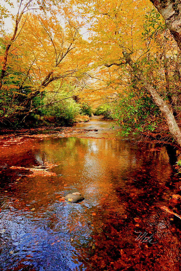 Boone Fork Stream Photograph by Meta Gatschenberger