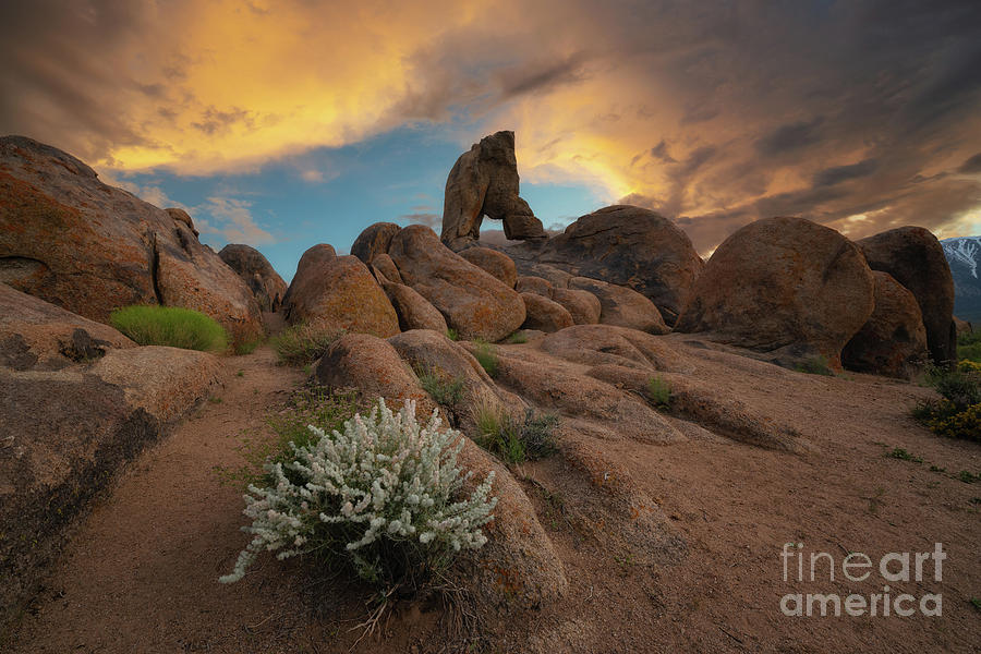 Sunset Photograph - Boot Arch Hike  by Michael Ver Sprill