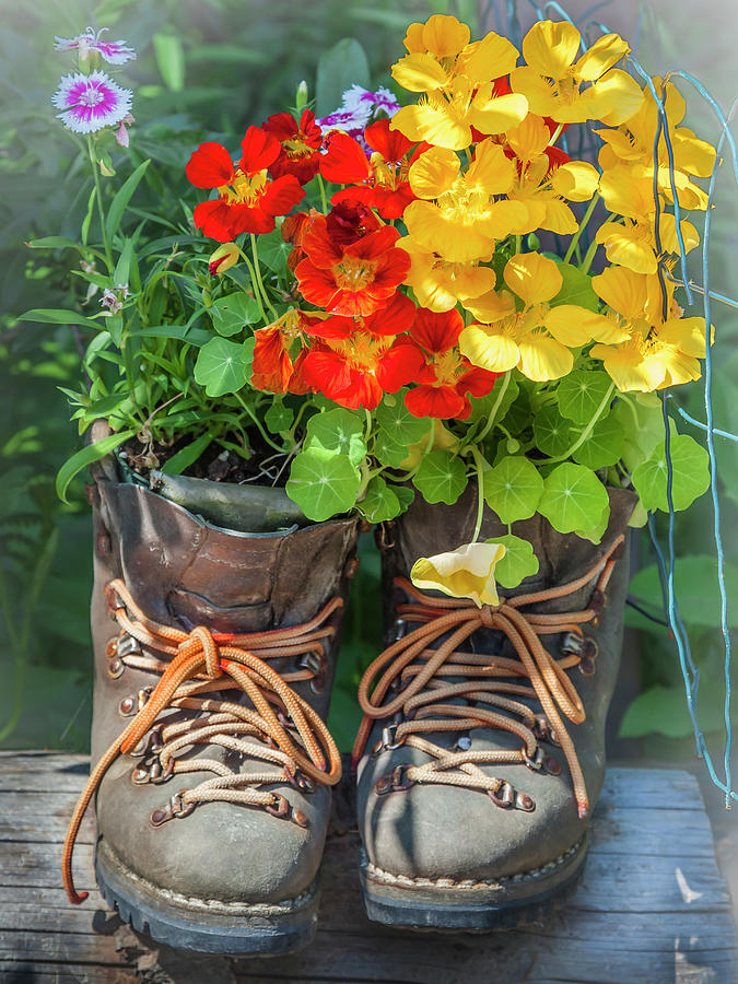 Boot Bouquet Photograph by Mark Mille