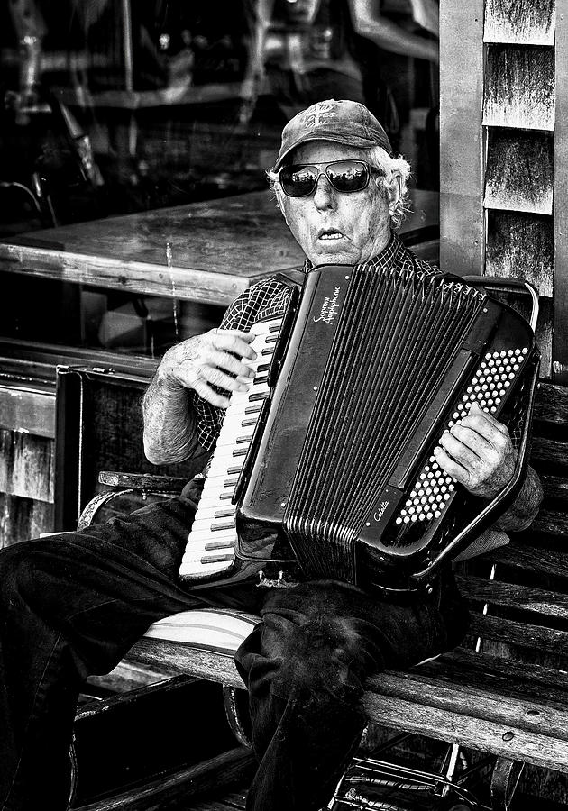 Accordion Photograph - Booth Bay_2013 by John Hoey