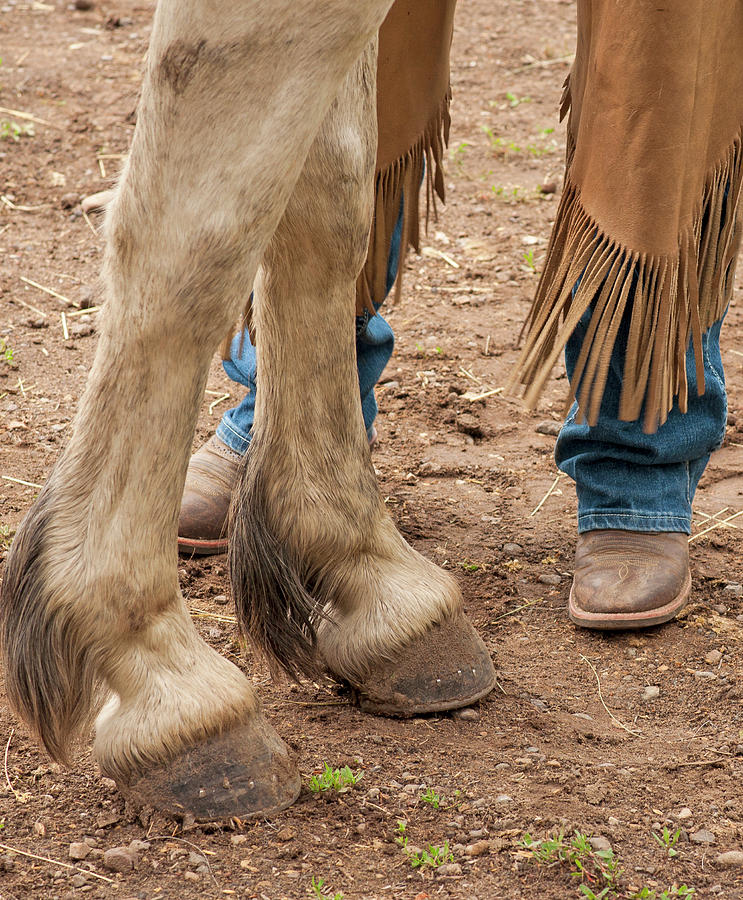 Boots And Hooves Photograph