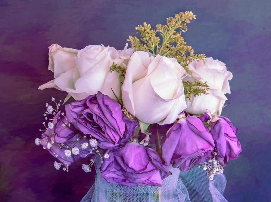 Boquet by Steven Greenbaum Boquet by Steven Greenbaum