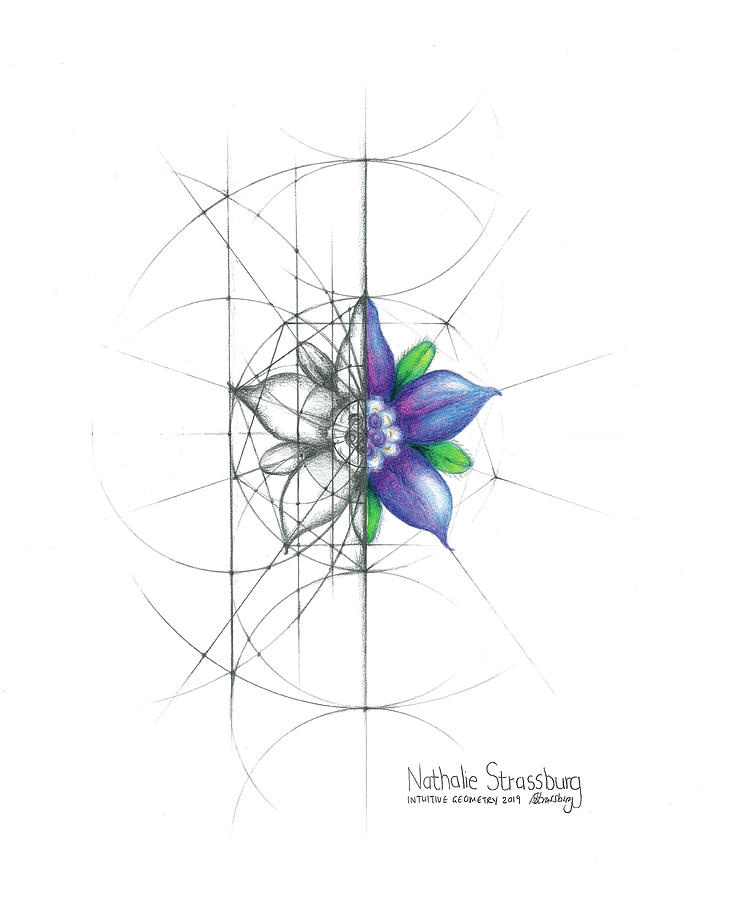 Intuitive Geometry Borage Flower Drawing by Nathalie Strassburg