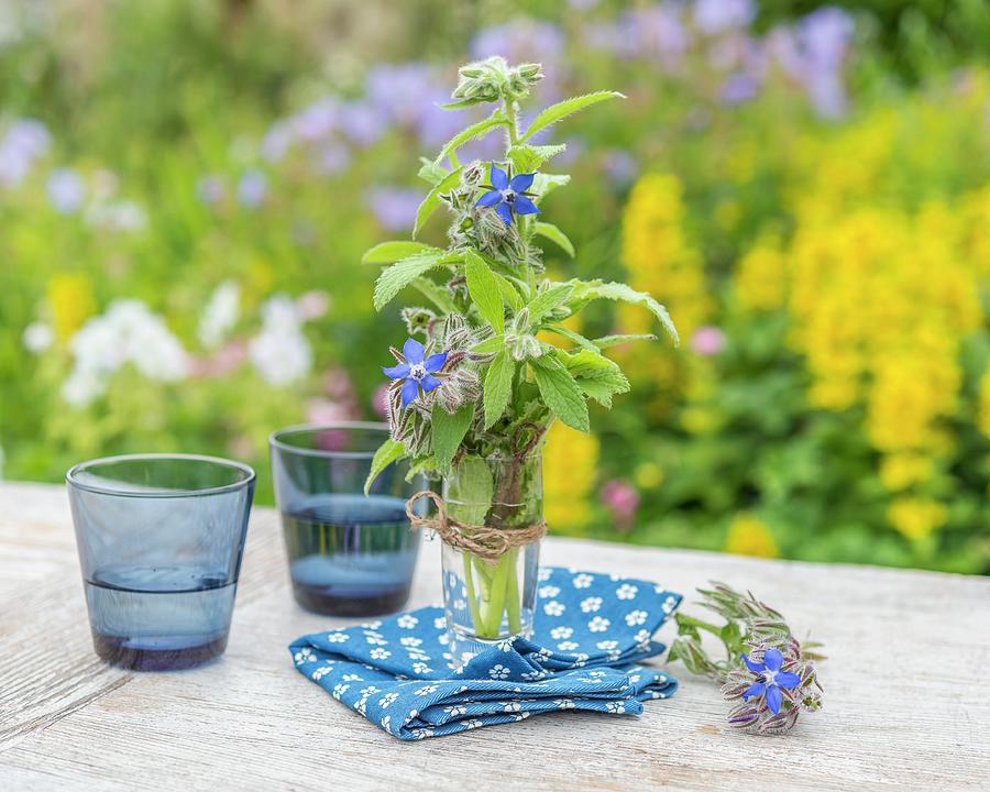 Borage In A Glass Of Water On A Garden Table Photograph by The Studio Collection