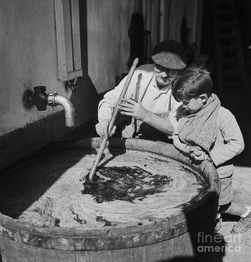 Bordeaux Making Wine Old Man Instructs Grandson 1950 Photograph By Fine Art America 3846