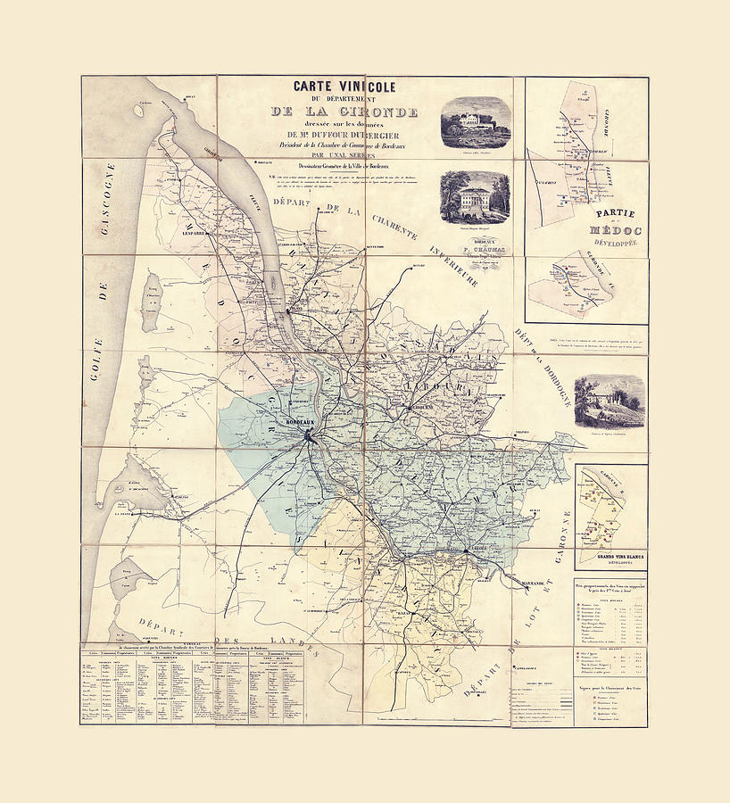Bordeaux Wine Map 1856 Photograph by Andrew Fare