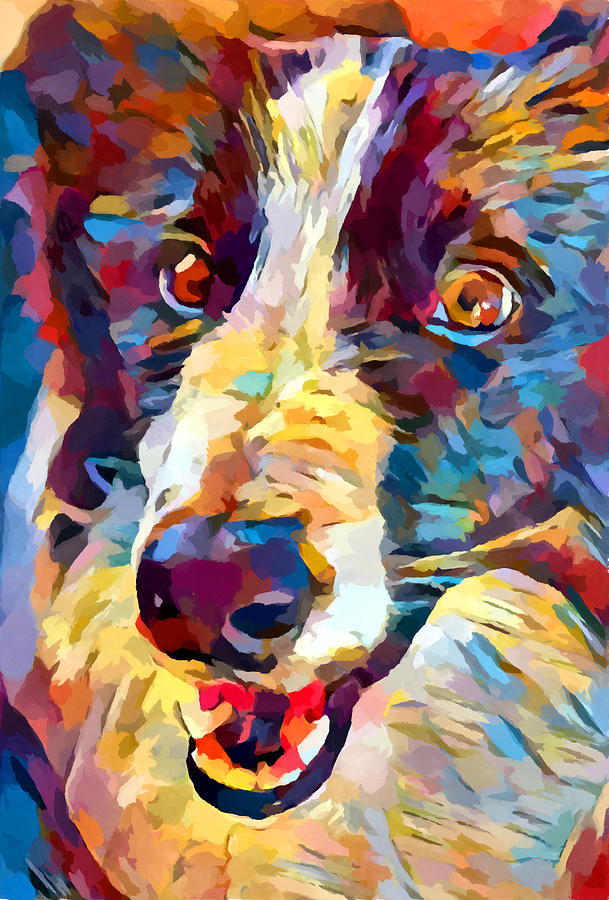 Border Collie 4 Painting by Chris Butler