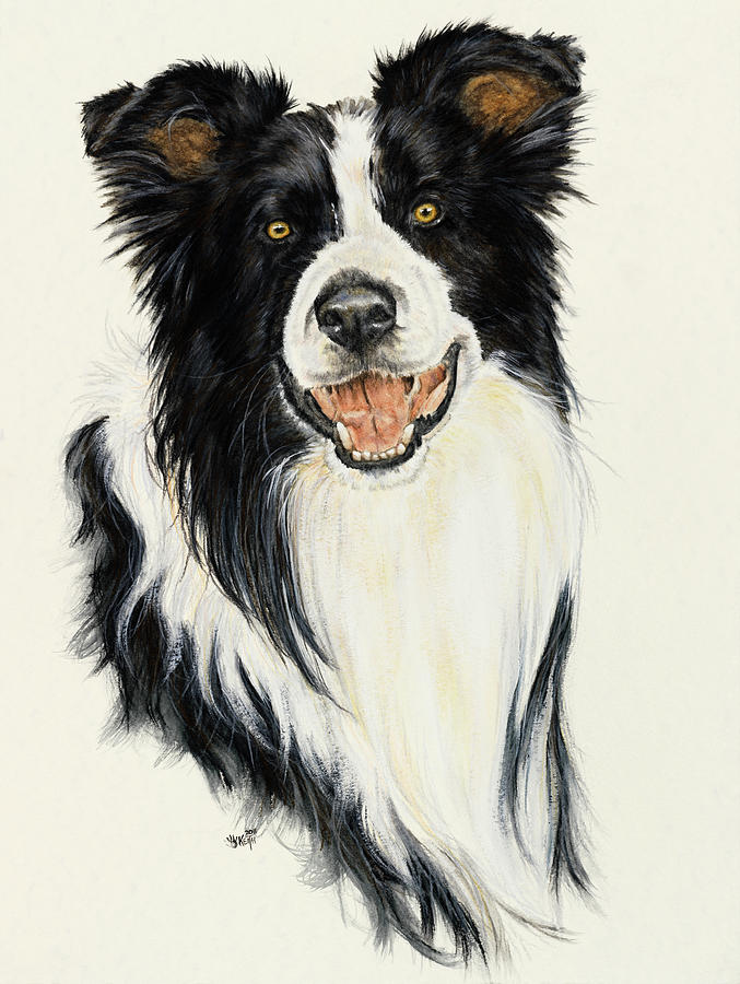 Dog Painting - Border Collie by Barbara Keith