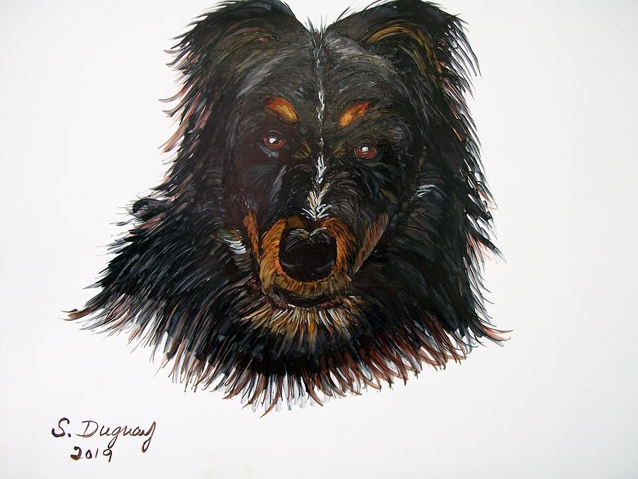 Border Collie Cross  Drawing by Sharon Duguay