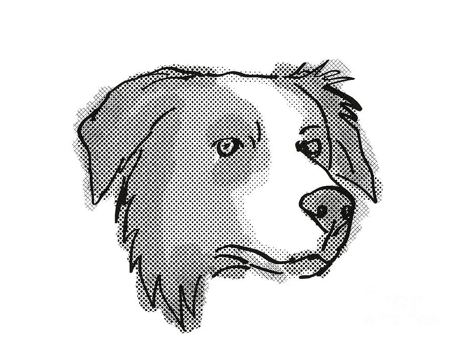 Black And White Digital Art - Border Collie Dog Breed Cartoon Retro Drawing by Aloysius Patrimonio