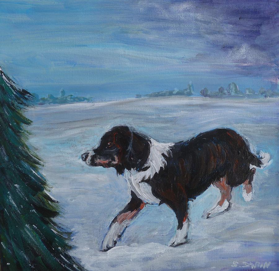 Border collie in the snow Painting by Saga Sabin