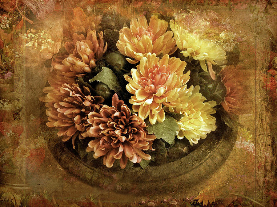 Flowers Photograph - Bordered Mums by Jessica Jenney Flowers Photograph - Bordered Mums by Jessica Jenney