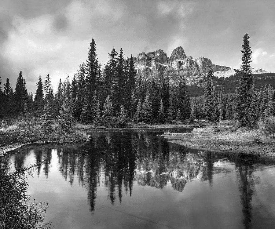 Boreal Forest Reflections Alberta Photograph by Tim Fitzharris - Fine ...