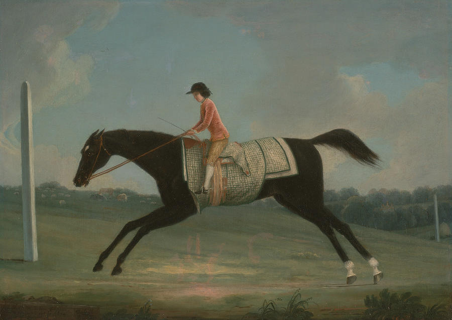 Borlase Cokayne as a Boy Riding Sultana Painting by Thomas Smith of Derby