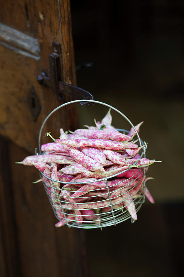 Borlotti Beans In A Wire Basket On A Wooden Door Photograph by Eising Studio