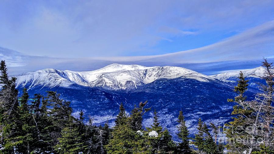 Born Wild - Mt. Washington, New Hampshire Photograph by Dave Pellegrini