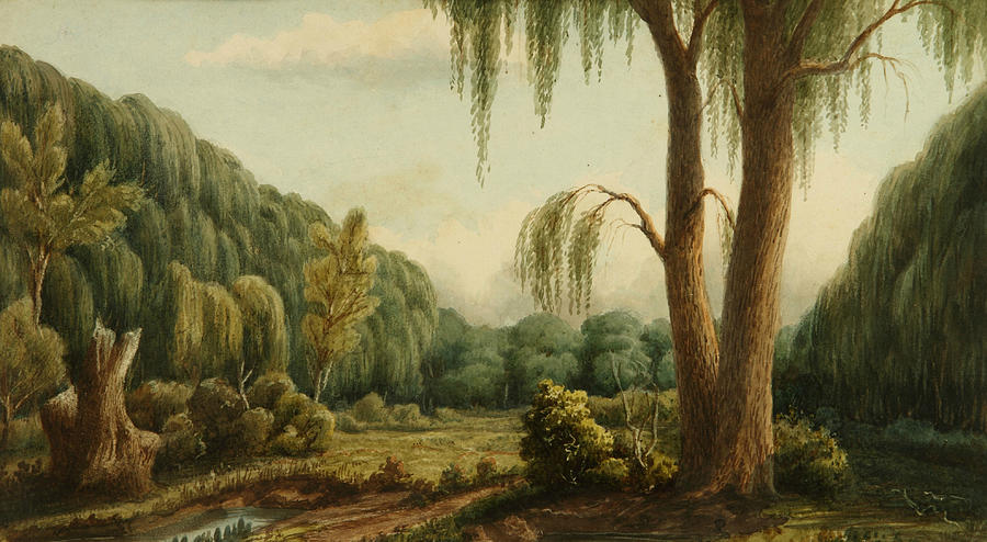 Bosque de Palermo Painting by Prilidiano Pueyrredon