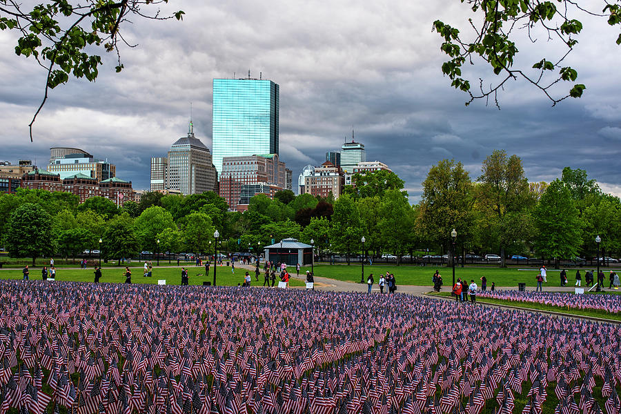 Boston Common Memorial Day Flags Dramatic Sky Boston MA Tree Photograph by Toby McGuire
