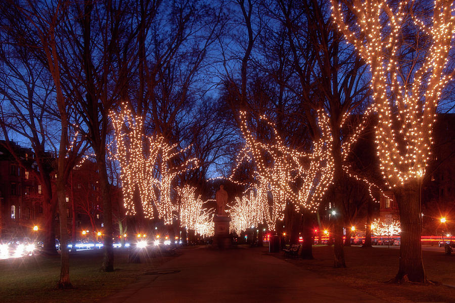 Boston Commonwealth Avenue Mall Christmas Photograph by Joann Vitali