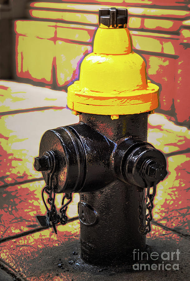 Boston Fire Hydrant Digital Art by Lorraine Cosgrove