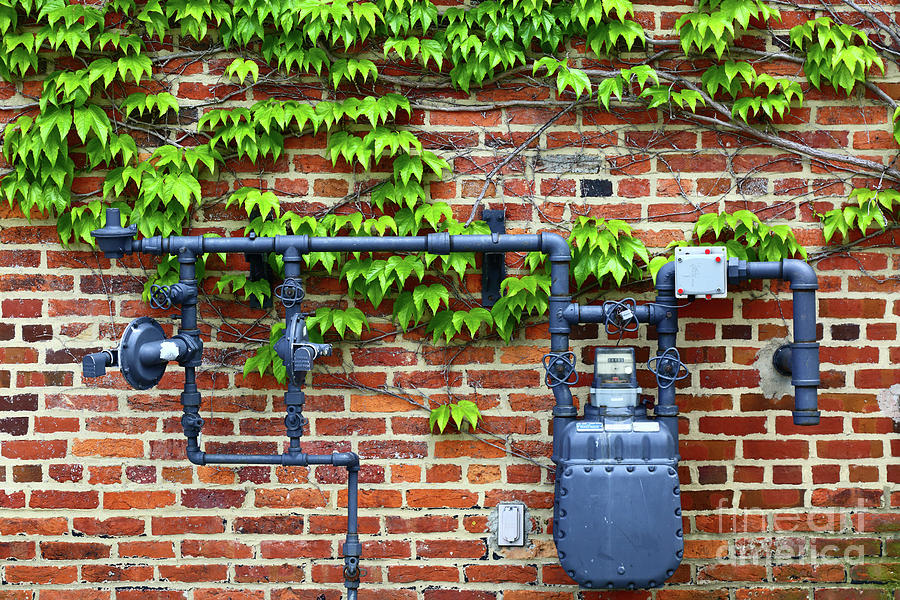 Boston Ivy and Gas Meter Photograph by James Brunker