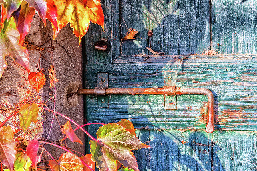 Boston Photograph - Boston ivy and old door with bolt by Vivida Photo PC