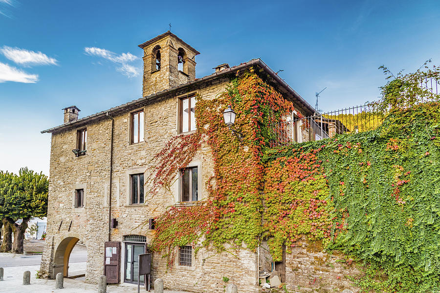 Architecture Photograph - Boston Ivy in mountain village in Tuscany by Vivida Photo PC