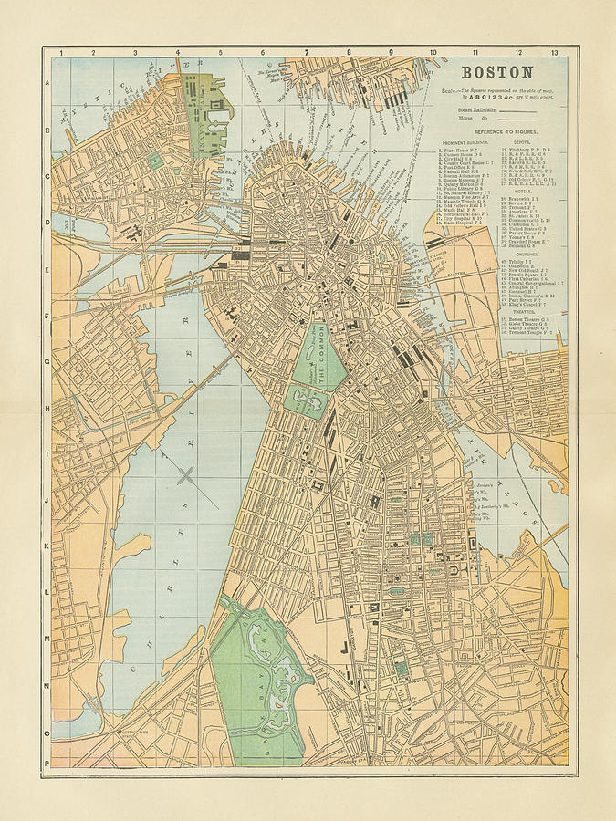 Boston Mixed Media - Boston Map by Wild Apple Portfolio