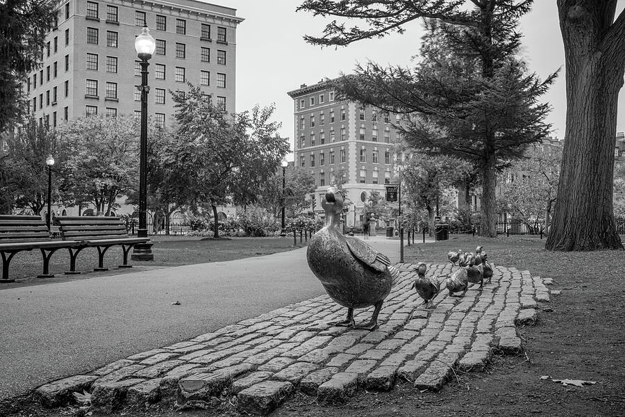 Black And White Photograph - Boston Public Garden and Make Way For Ducklings Statues in Monochrome by Gregory Ballos