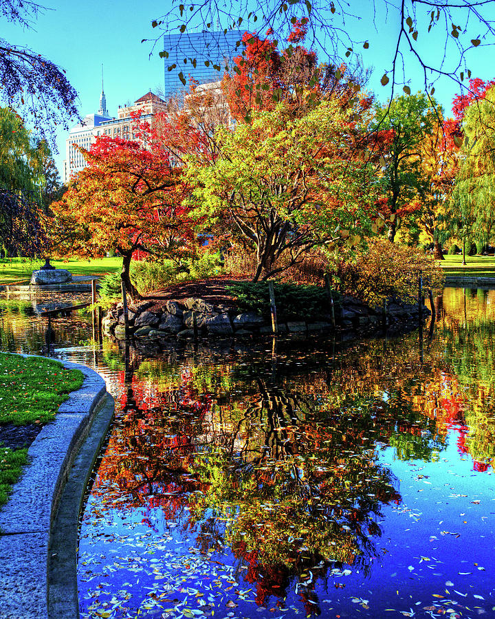 Boston Public Garden Autumn Trees Reflectionc Boston MA Photograph by Toby McGuire