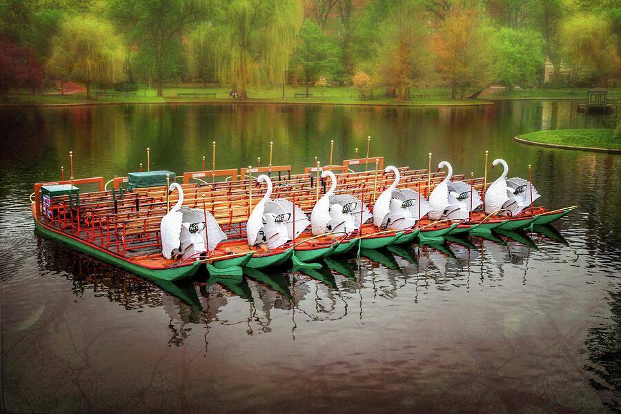 Boston Public Garden Swan Boats  Photograph by Carol Japp