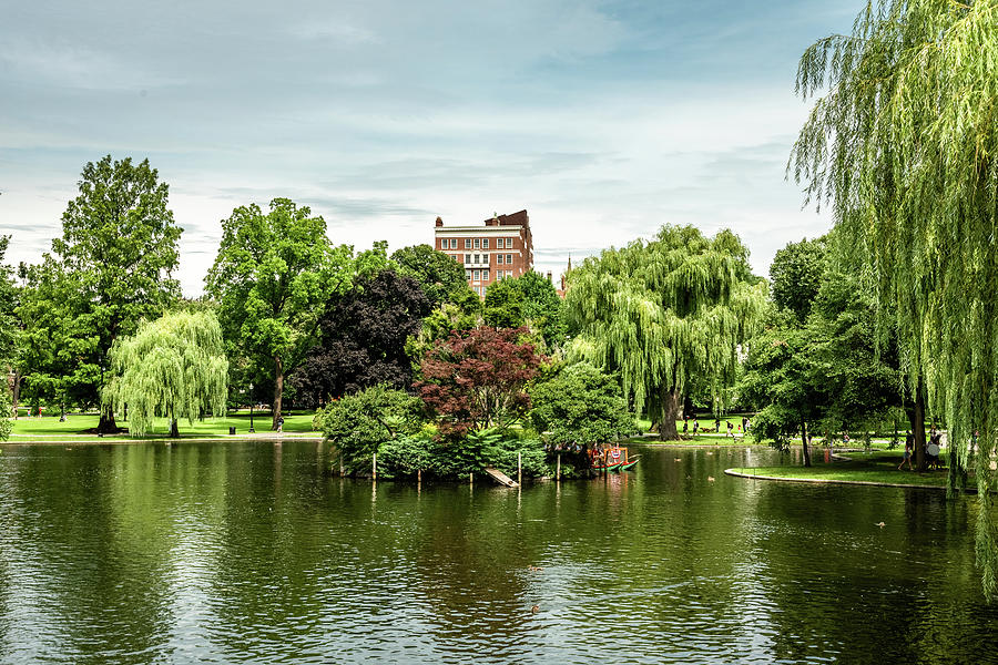 Boston Public Garden View Photograph