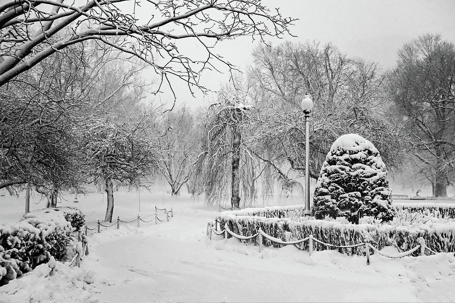 Boston Public Garden Winter Wonderland Boston MA Black and White Photograph by Toby McGuire