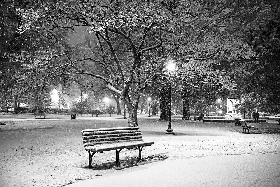 Boston Snowfall in the Boston Public Garden Boston MA Black and White Photograph by Toby McGuire