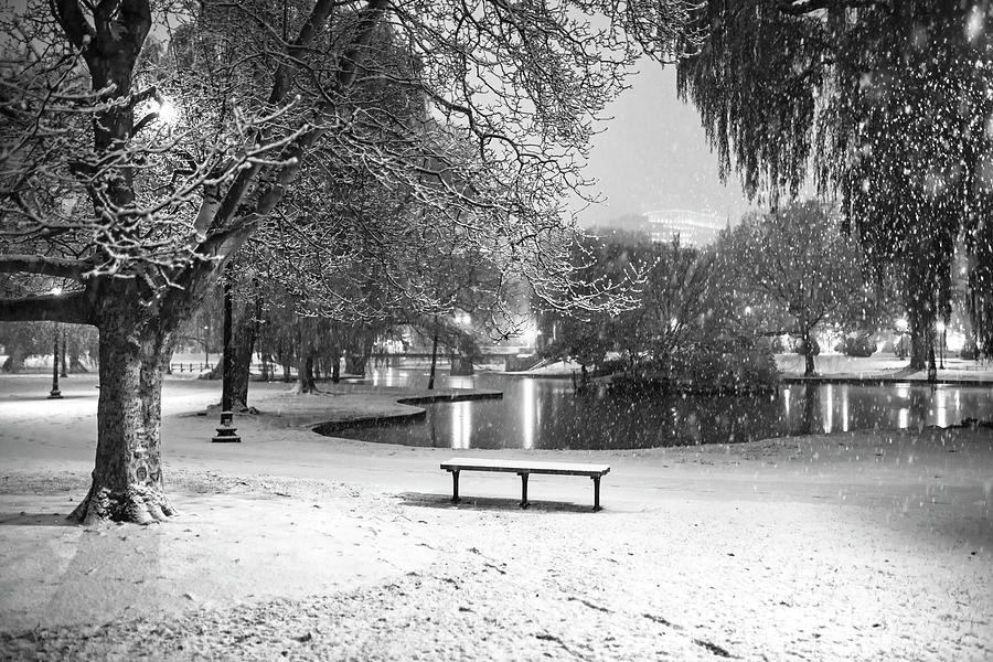 Boston Snowfall in the Boston Public Garden Boston MA Pond Black and White Photograph by Toby McGuire