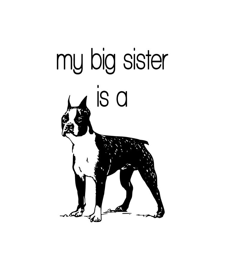 how long is a boston terrier pregnant for