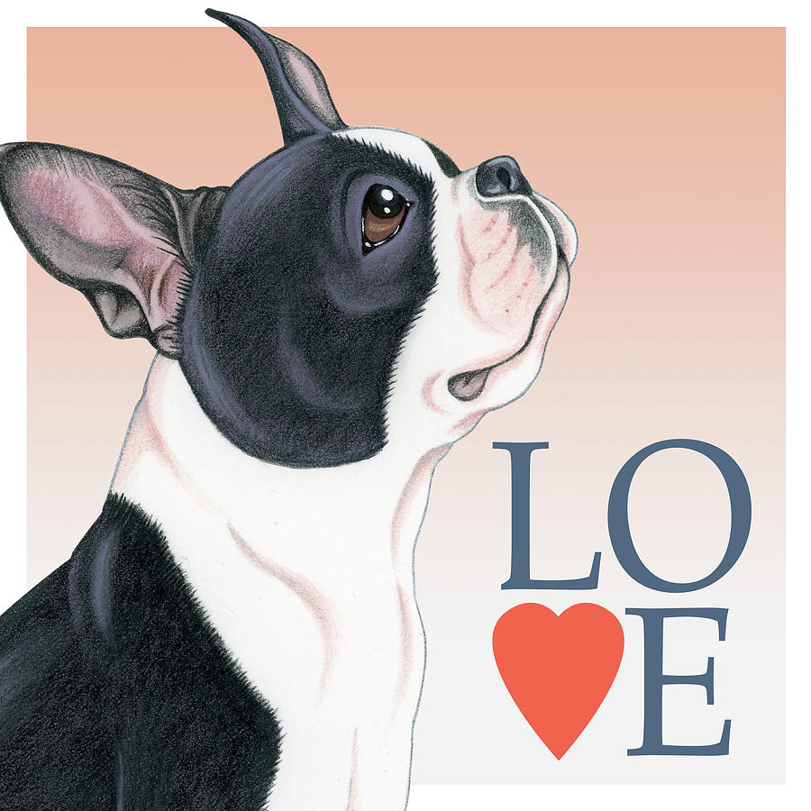 Inspirational Mixed Media - Boston Terrier Love by Tomoyo Pitcher