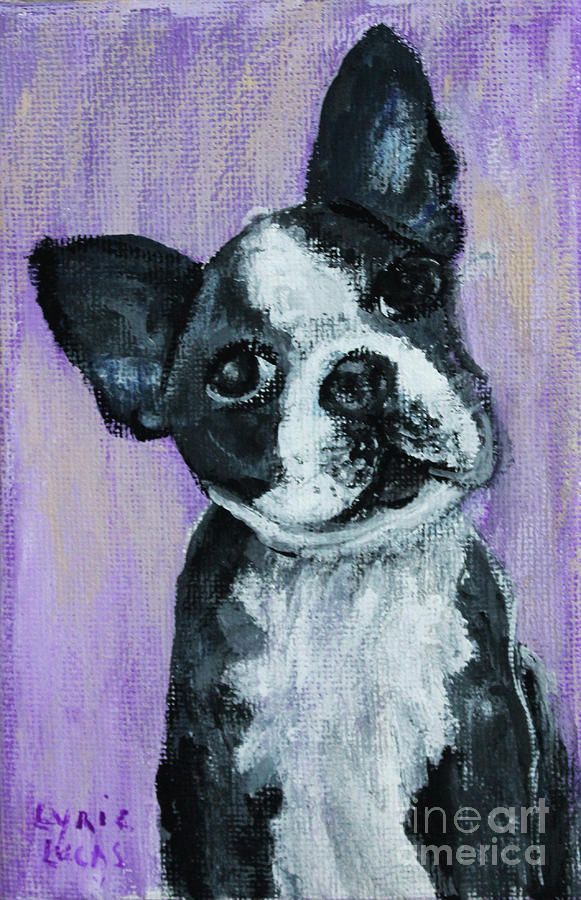 Boston Terrier Painting by Lyric Lucas