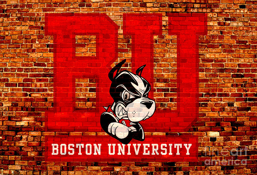 Boston University Terriers Digital Art by Steven Parker