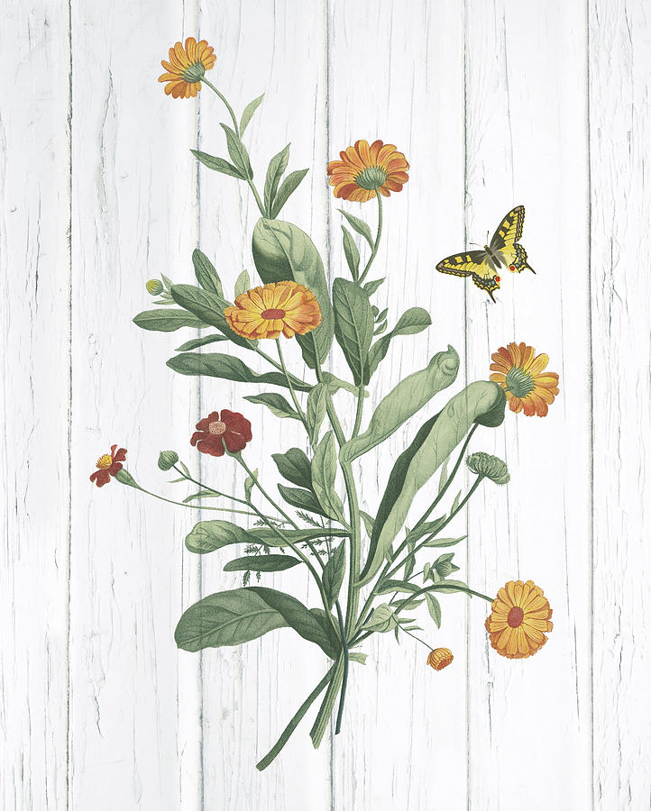 Butterfly Painting - Botanical Bouquet On Wood Iv by Wild Apple Portfolio