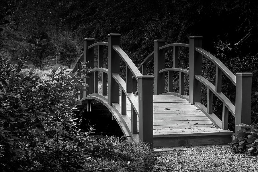 Botanical Bridge by Rick Cooper Botanical Bridge by Rick Cooper