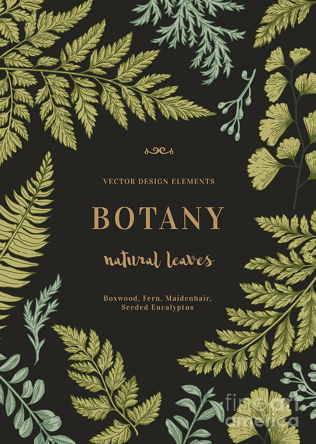 Trend Digital Art - Botanical Illustration With Leaves On A by Lisla Trend Digital Art - Botanical Illustration With Leaves On A by Lisla
