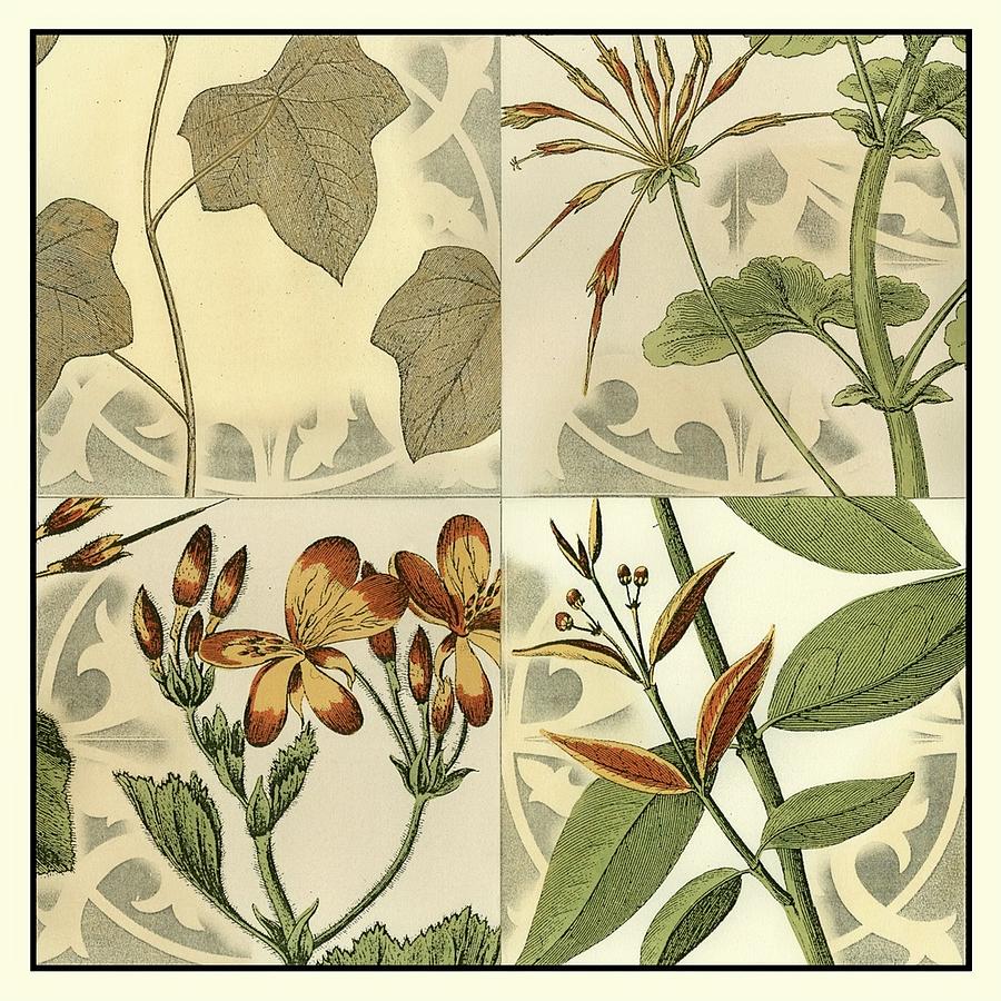 Flower Painting - Botanical Quadrant IIi by Vision Studio
