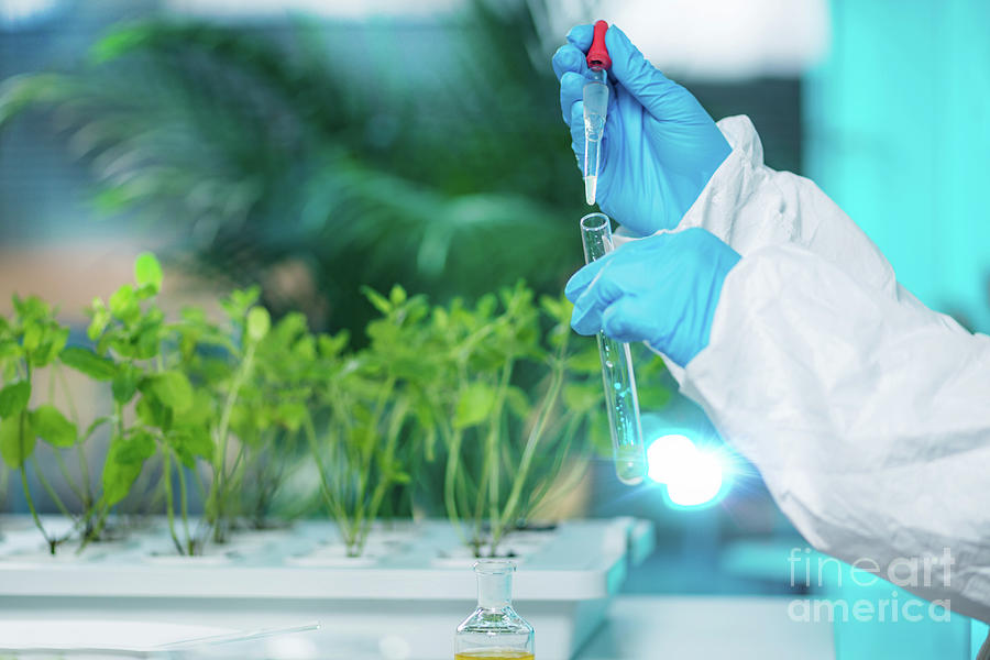 Исследование пестицидов. Лаборатория растений. Пестициды. Лабораторные пестицидов. Пестициды биотехнология.