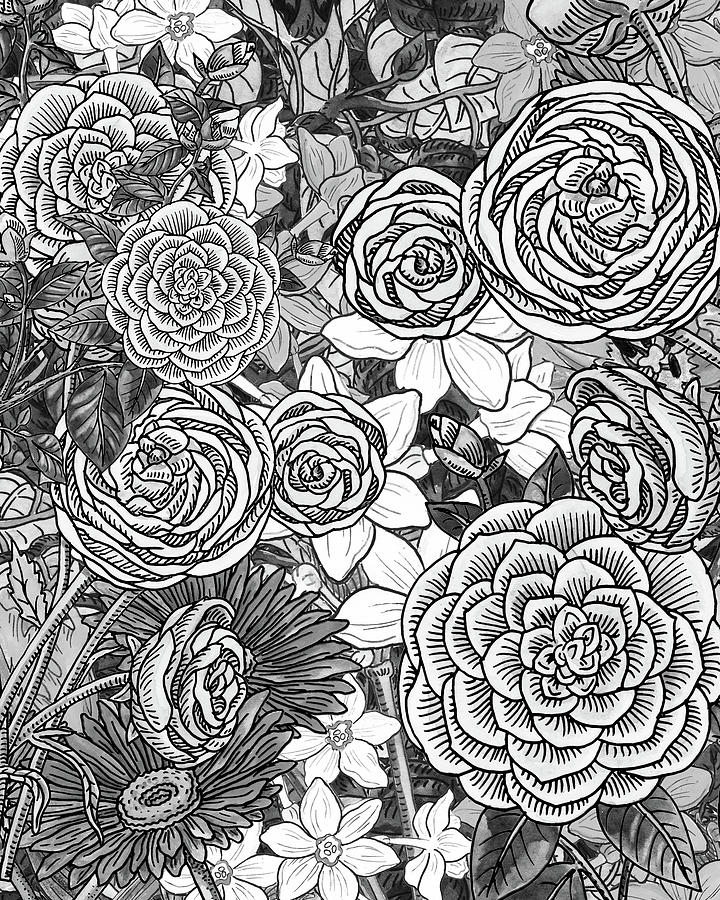 Botanical Watercolor Flowers Garden Flowerbed Black And White IV Painting by Irina Sztukowski